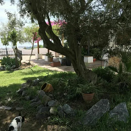 Carpe Diem De Villa Malaga